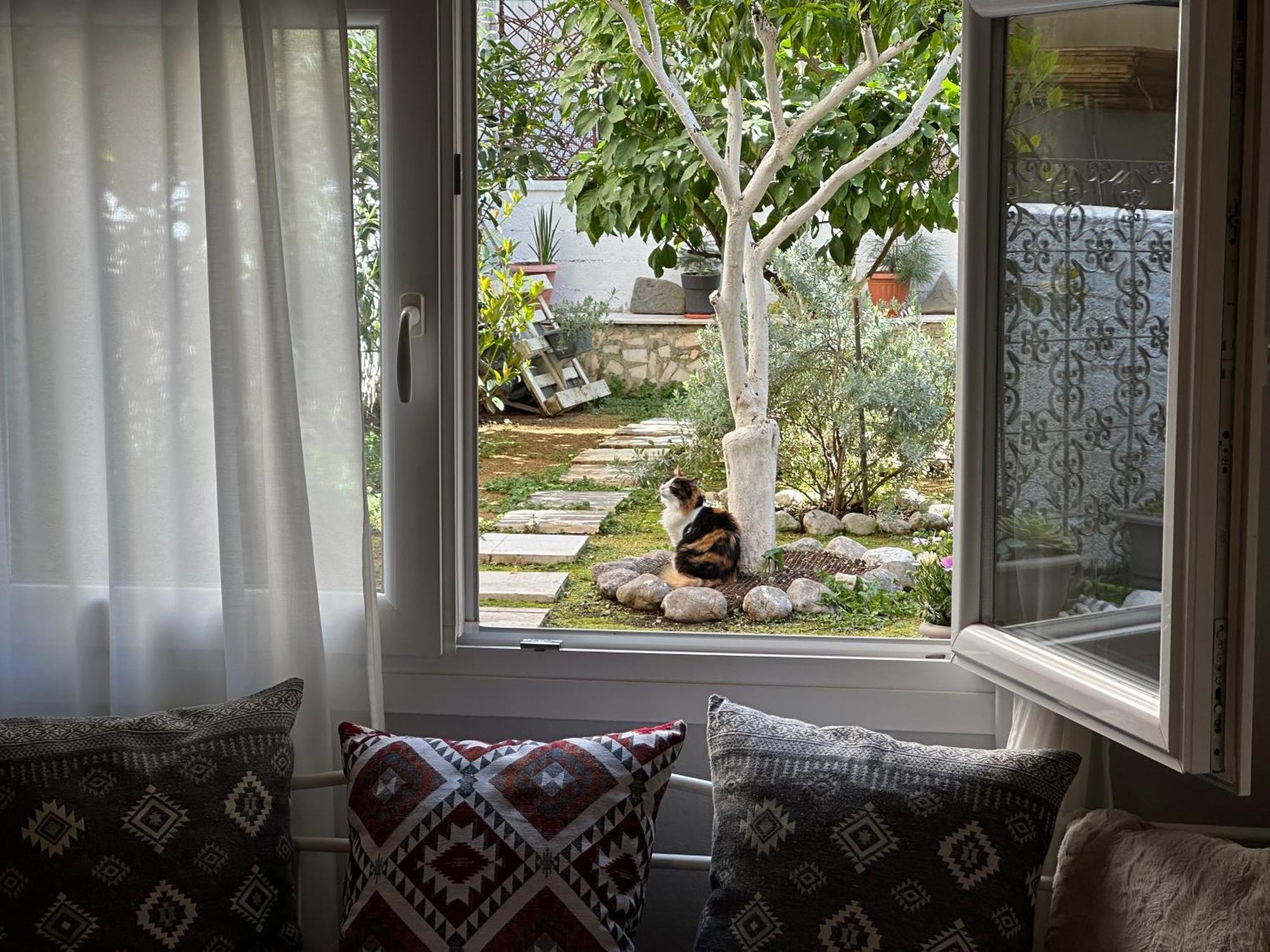 Apartament Νόστος Στο Κέντρο Των Ιωαννίνων Janina Zewnętrze zdjęcie